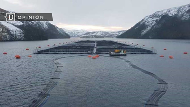 El Desconcierto | Diseno sin titulo 4.png