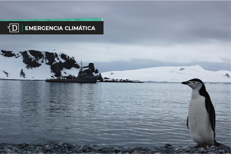 Pinguinos en la Antartica chilena.png