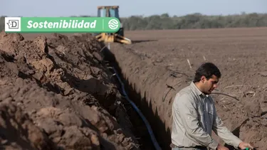 Atención agricultores: Lanzan recurso educativo para ayudar a escoger sistema de riego adecuado para cultivos en hileras