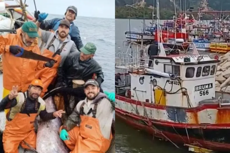 14361 pescadores bruma.webp