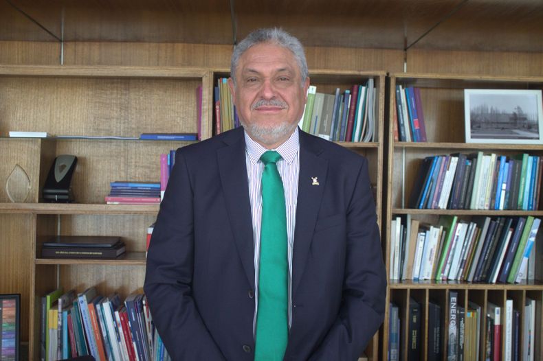 Pedro Palominos 3