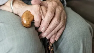 Pago de contribuciones con tope máximo: Proyecto de ley cambia reglas del juego a adultos mayores