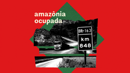Cómo la Amazonía se convirtió en un centro de exportaciones agrícolas