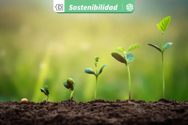 29080 diseno sin titulo 2026 01 22t110057.webp