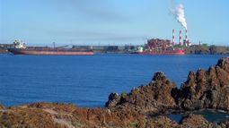 Estudio internacional revela contaminación con mercurio en mujeres de Huasco
