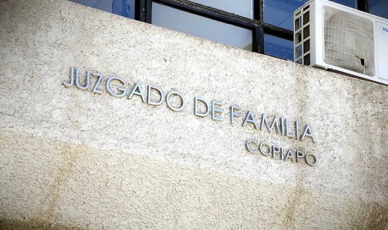 tenia deuda de pension y se nego a autorizar que su hijo viajara a europa con la madre juzgado dio permiso por 2 anos.webp