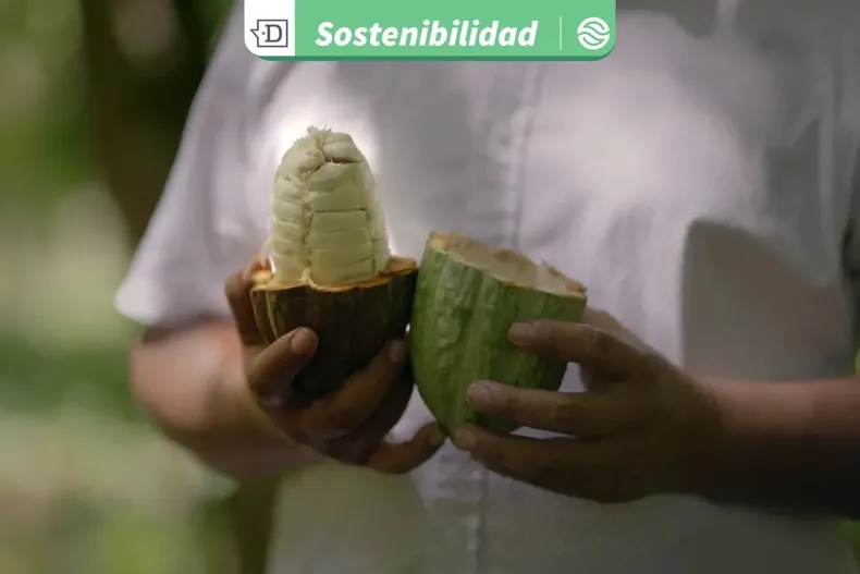 23780 diseno sin titulo 2025 10 07t163730.webp