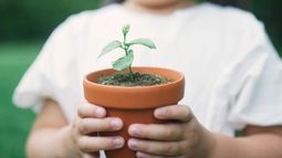 La sostenibilidad y la creatividad son los pilares del concurso. La sostenibilidad y la creatividad son los pilares del concurso.