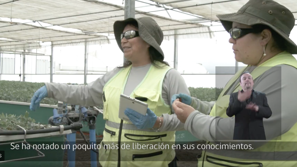 Impulsa Personas, la oportunidad Sence que beneficia a trabajadores y empresas
