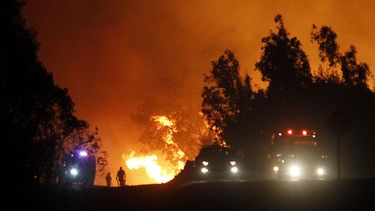 Incendios forestales: ¿Cuál es la diferencia entre causar un incendio y ser un pirómano?