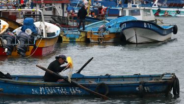 Bobadilla cada vez más solo: Aprueban legislar fraccionamiento pesquero que corrige inequidad