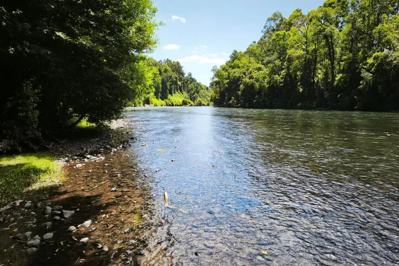 21075 diseno sin titulo 2025 08 19t193434.webp