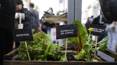 El Desconcierto | EXPO CHILE AGRICOLA.jpg
