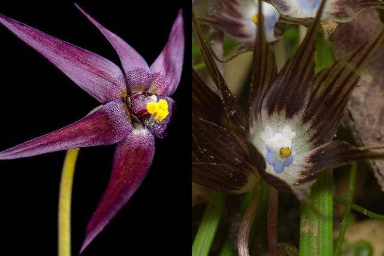 Diseño sin título - 2026-03-25T125620.386