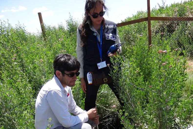 29219 diseno sin titulo 26.webp