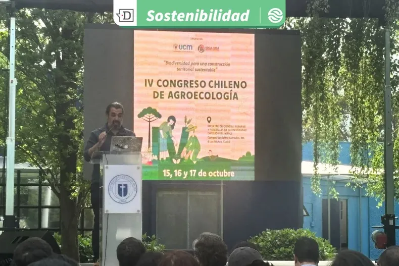 24338 diseno sin titulo 2025 10 17t170939.webp