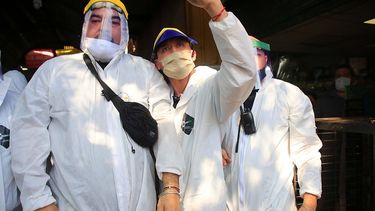 Relatos de plagas y epidemias: Cubos negros