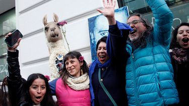 Oceana celebra rechazo a Dominga y espera que se concrete la protección definitiva de esta área marina
