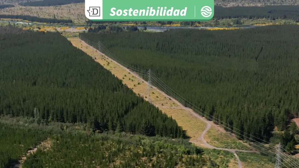 Crean mapas con tecnología satelital para prevenir incendios causados por tendido eléctrico en Ñuble y Biobío
