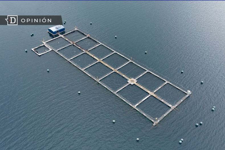 2012 industria salmonera.jpg