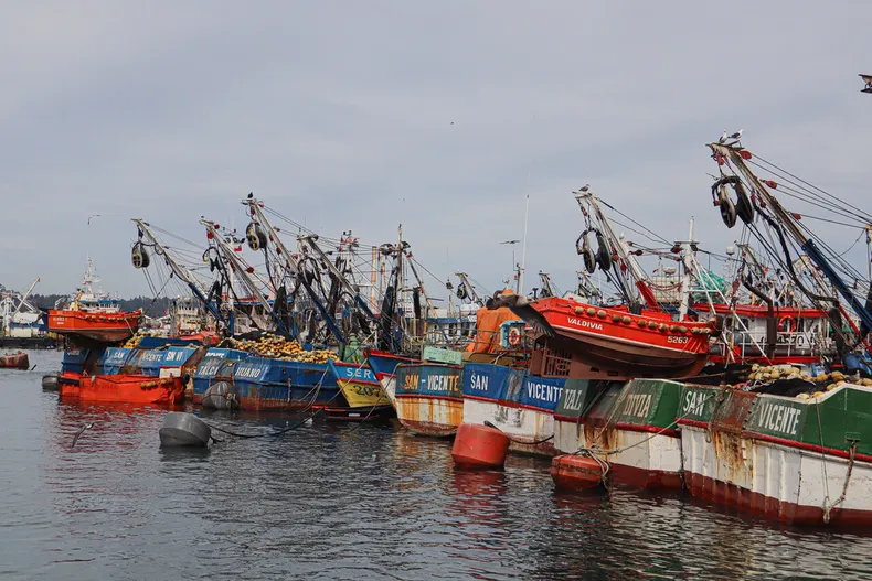 pescadores artesanales exigen control a flota china piden coordinacion entre chile peru y ecuador ante 117 naves detectadas.webp