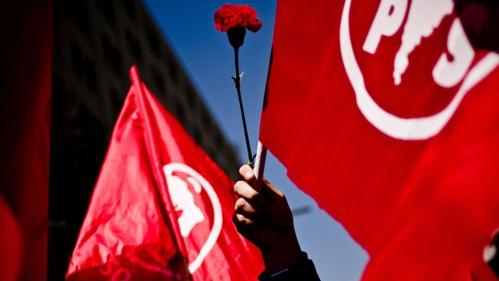 Banderas del Partido Socialista y una mano con un clavel