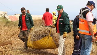 Balance agrícola luego de la temporada de incendios: Gobierno descarta aumento en el precio de los alimentos