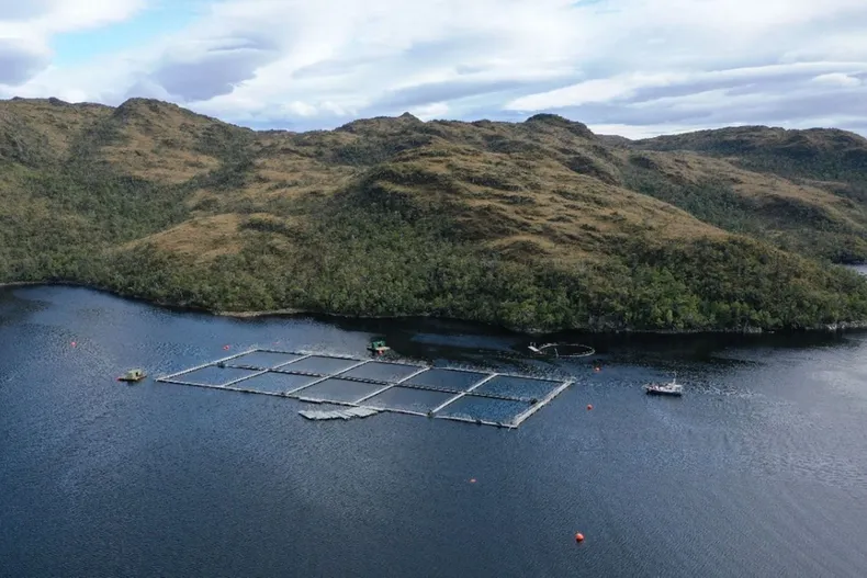 18822 whatsapp image 2025 07 07 at 1831.webp