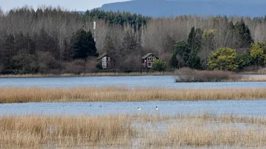 “Consolida nuestro liderazgo climático”: Chile entra al comité internacional que resguarda los humedales