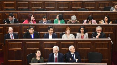 El Desconcierto | Consejo Constitucional 2.jpg