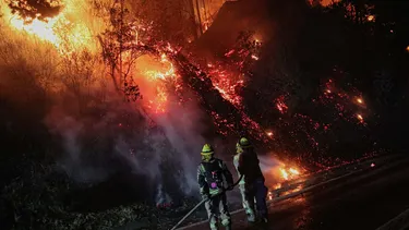 Incendios forestales: Gobierno confirma muerte de adulta mayor y llama al autocuidado en complicado domingo