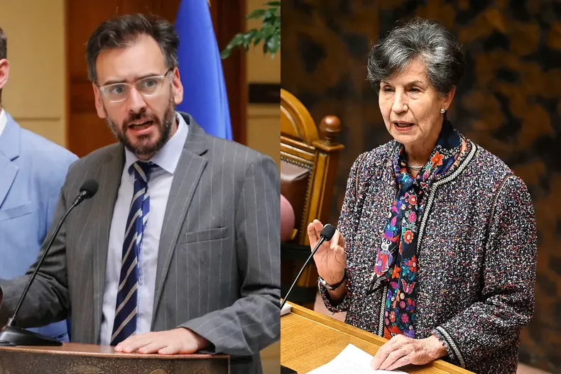 14261 tomas de rementeria isabel allende.webp