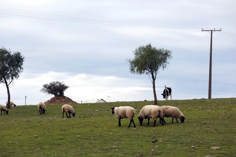 28178 a uno 1104052.webp