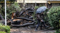 Podría haber tornados: emiten alerta meteorológica por vientos de hasta 80 km/h en la zona centro sur
