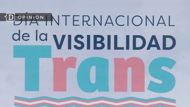 El Desconcierto | Visibilidad Trans e1712376143191.png
