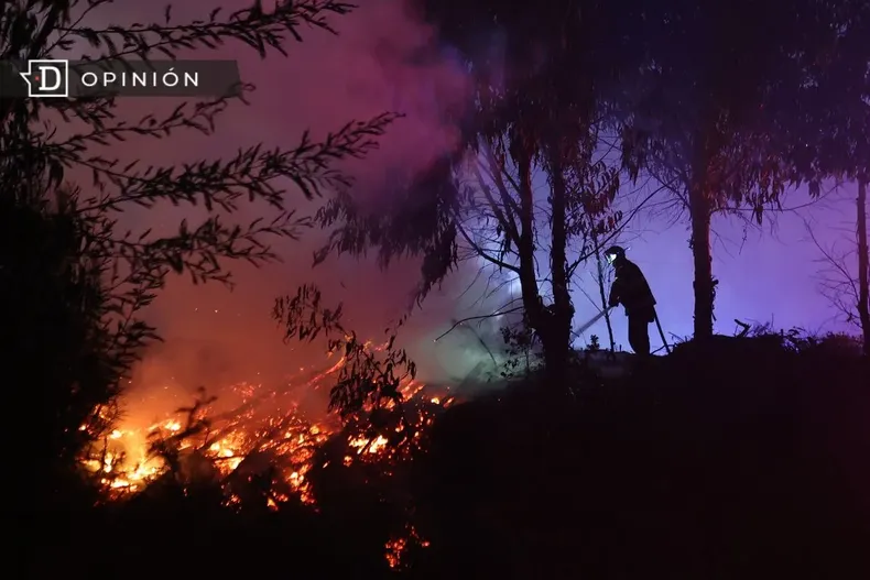 30421 imagen de un incendio forestal en un bosque del sur.webp