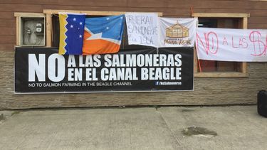El Desconcierto | salmones scaled.jpg