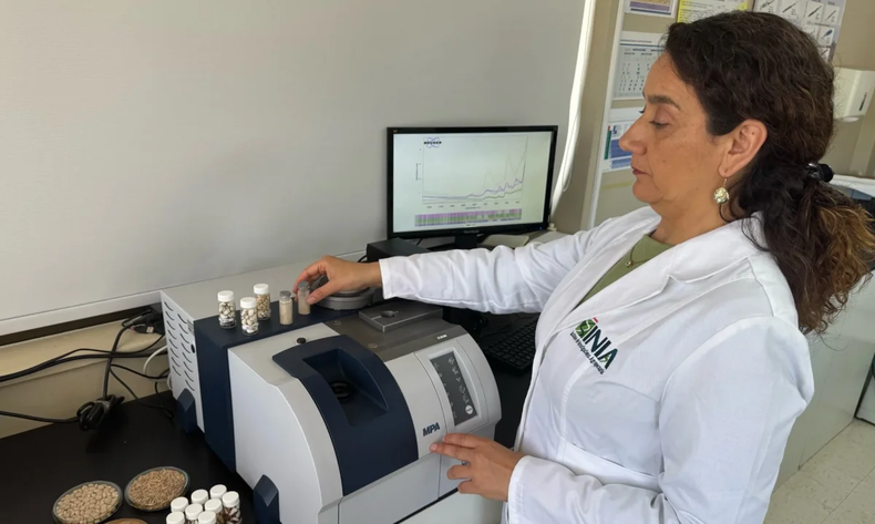Instituto de Investigaciones Agropecuarias (INIA) exploran herramientas para producción ganadera con foco en sostenibilidad.