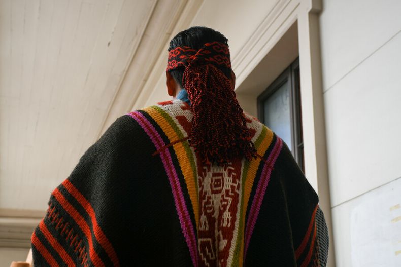 para analizar derechos territoriales de los mapuches participa de un seminario gratuito con expertos.jpg