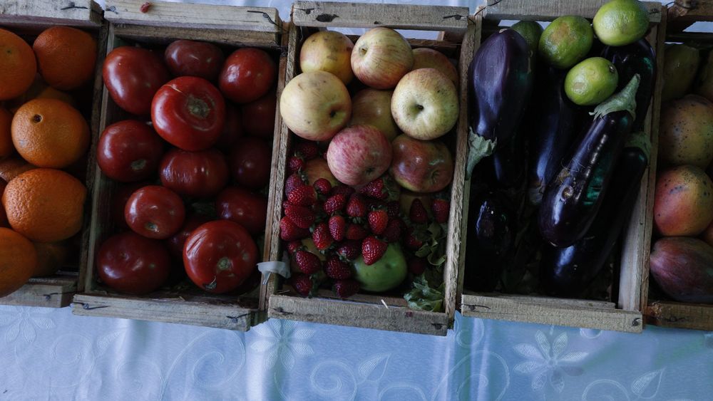 Revelan que la humanidad tira a la basura un billón de comidas por día