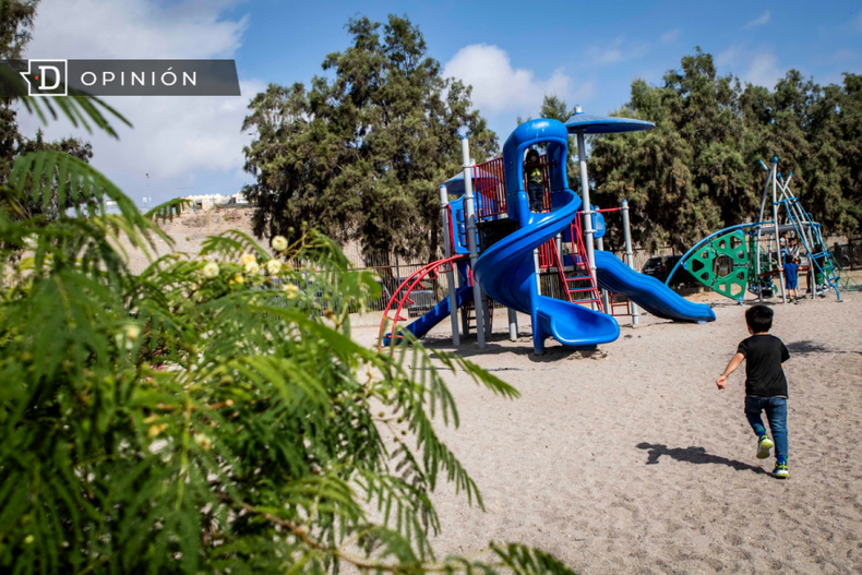 Nineces e1692224887479.png