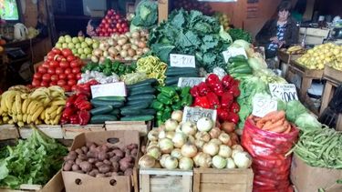 El Desconcierto | alimentos campo.jpg