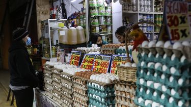 INE: Producción de huevos muestra mejora dejando atrás efectos de la gripe aviar