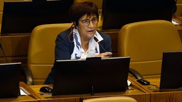 Congreso debatirá proyecto que convierte en delito el negacionismo de las violaciones a los DDHH