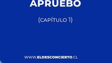 El Desconcierto | apruebo.jpg