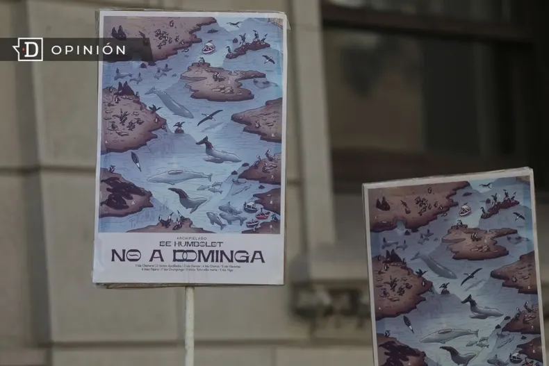 15721 afiches que dicen no a dominga.webp