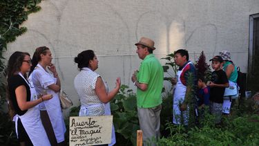 Barrio Yungay impulsa talleres gratuitos de huertos comunitarios