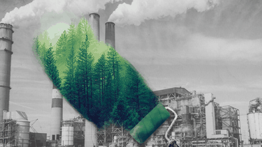 Greenwashing: Multinacionales engañan en sus planes climáticos, alerta estudio.