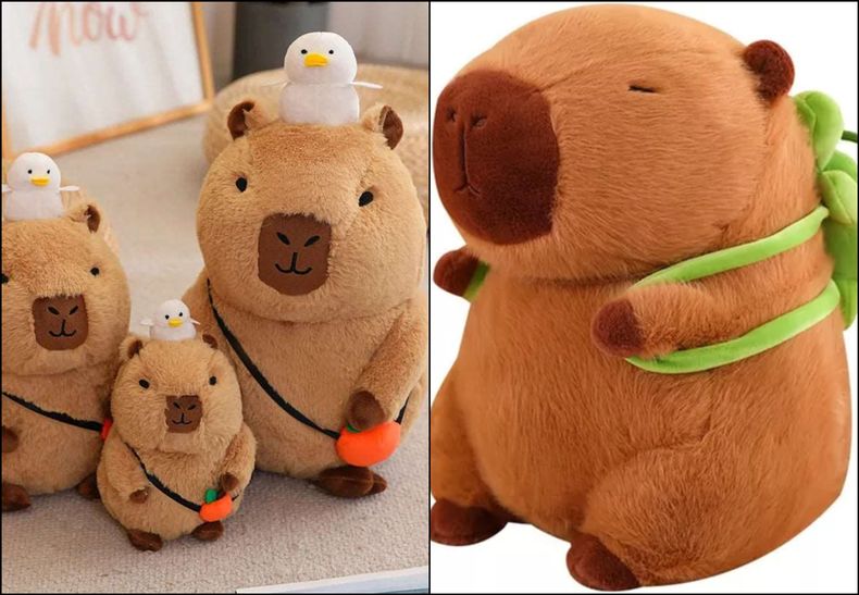 8658 capibaras.jpg
