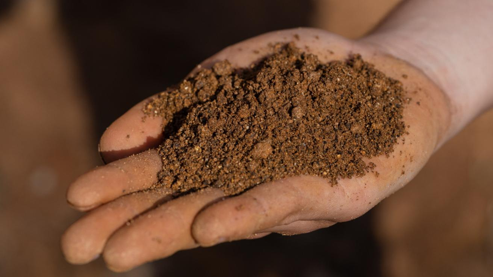 Coeva aprueba proyecto minero de extracción de tierras raras en Penco, pese a críticas de comunidades y municipios.&nbsp;